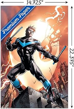 Amazon.co.jp: Trends International DCコミック - ナイトウィング